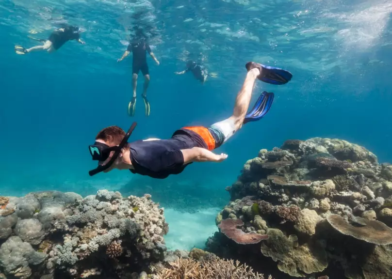 best snorkel for beginners best snorkel for beginners