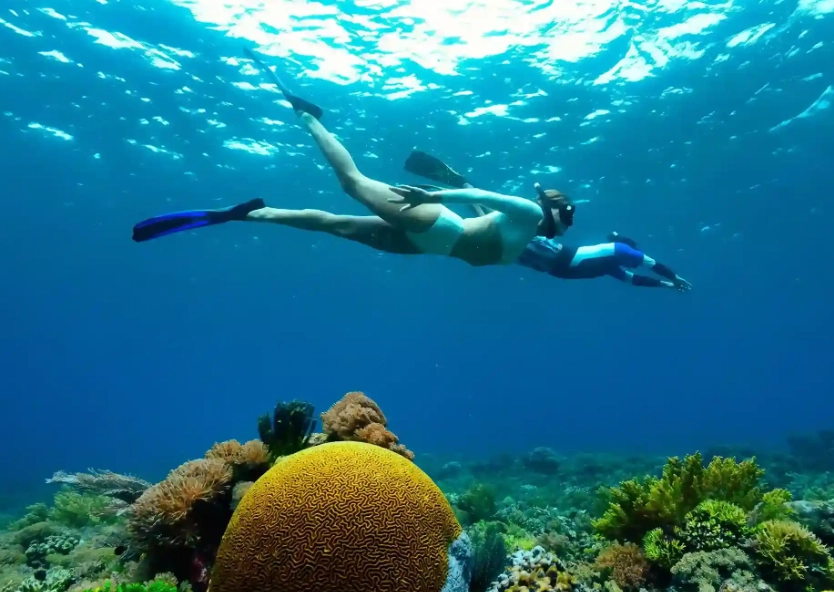how much is a snorkel how much is a snorkel