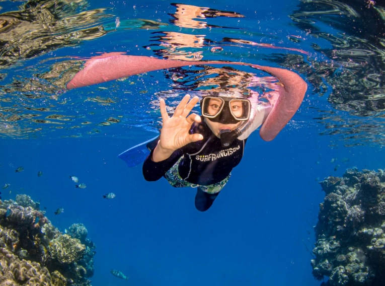 snorkel price snorkel price