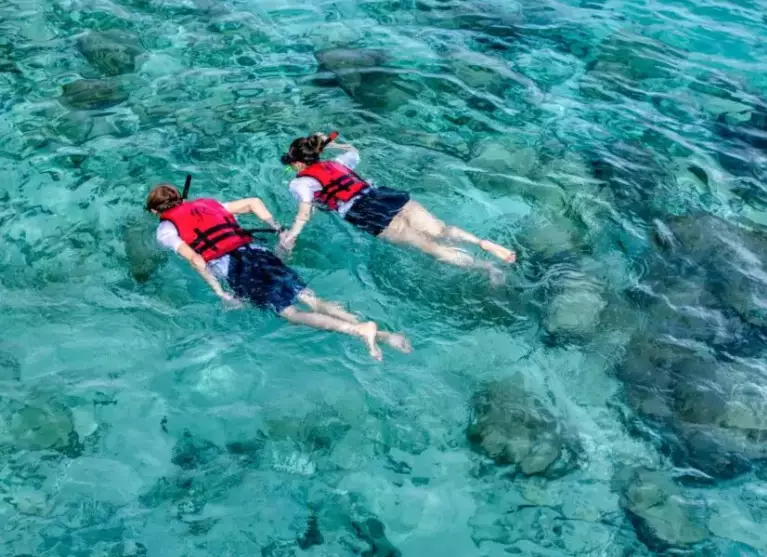 snorkeling safety gear snorkeling safety gear